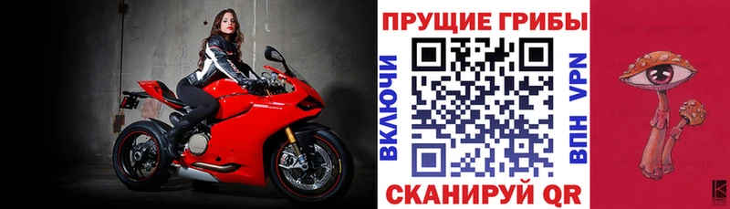 блэк спрут зеркало наркота Остров Галлюциногенные грибы прущие грибы