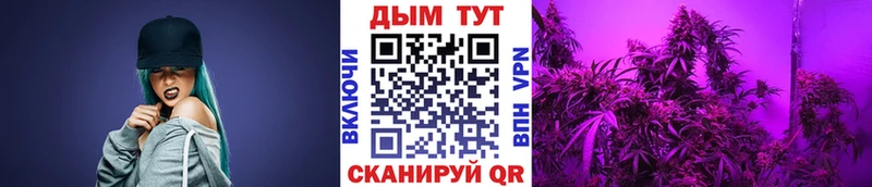 даркнет сайт  Остров  Бошки Шишки White Widow 